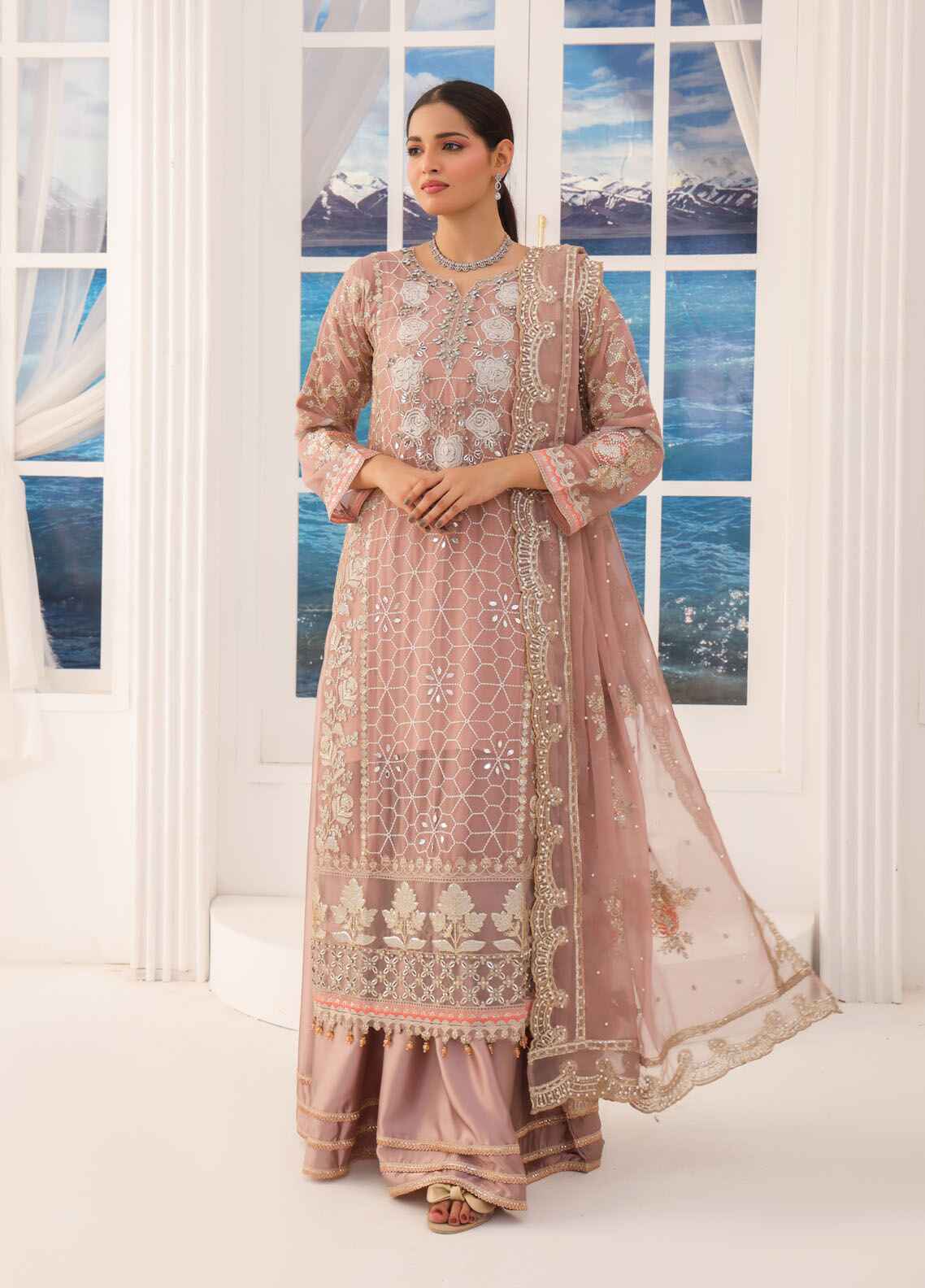 Pakistani chiffon dresses hotsell