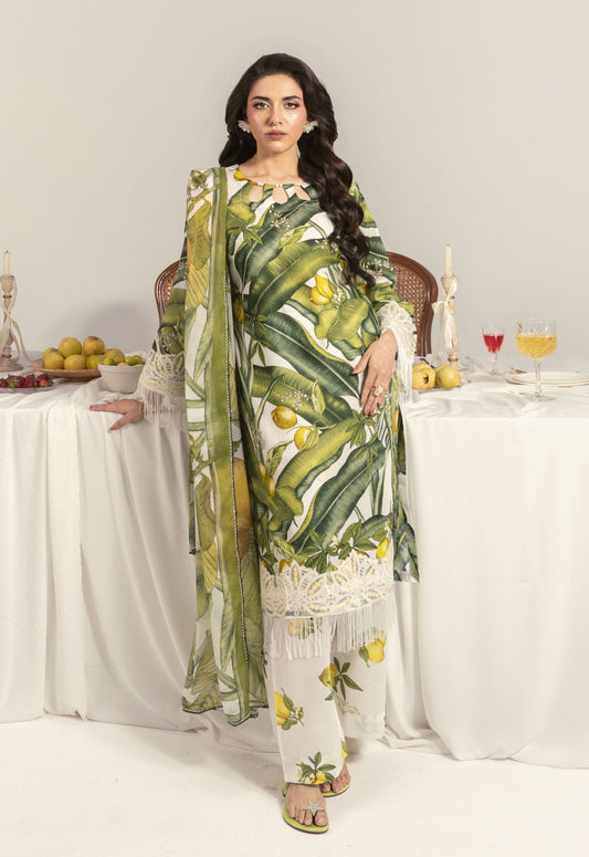 Nayab By Polawn Embroidered Stitched 3 Piece Lawn Suit PD-25-416-A-Ready to Wear