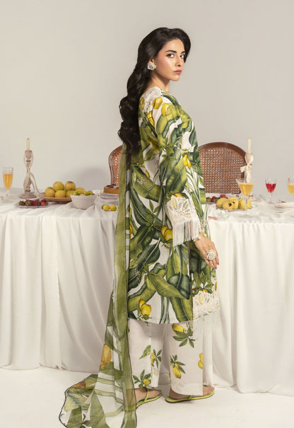 Nayab By Polawn Embroidered Stitched 3 Piece Lawn Suit PD-25-416-A-Ready to Wear