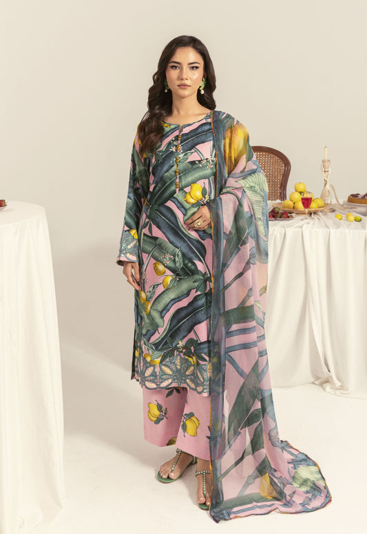 Nayab By Polawn Embroidered Stitched 3 Piece Lawn Suit PD-25-416-B-Ready to Wear