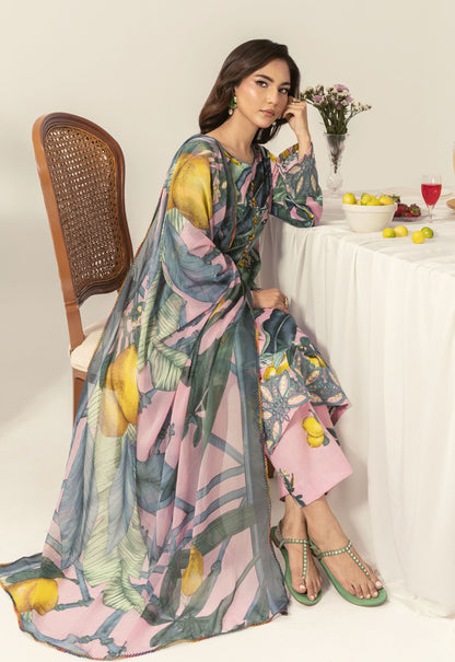 Nayab By Polawn Embroidered Stitched 3 Piece Lawn Suit PD-25-416-B-Ready to Wear